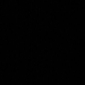 Meet your Posher, Roy